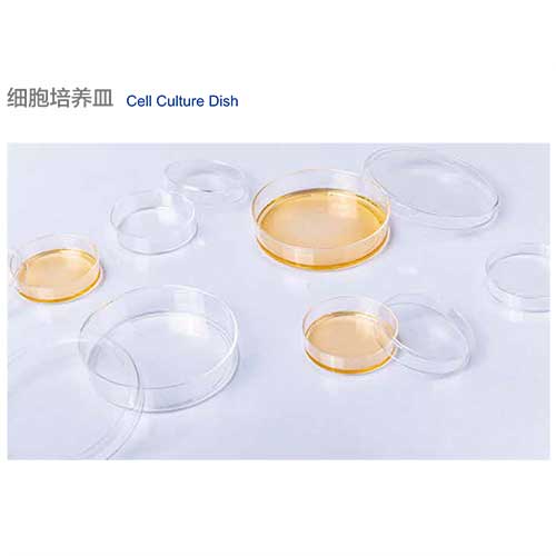 細胞培養(yǎng)皿-圖1.jpg